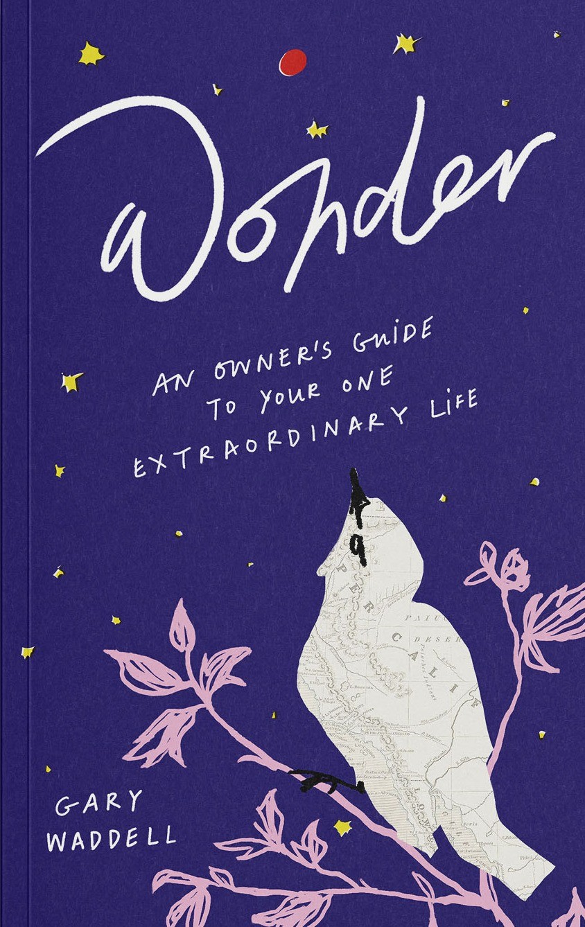 Wonder: An Owner's Guide to Your One Extraordinary Life — book cover